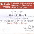 Ingrandire l'immagine: certificate 2