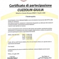 Ingrandire l'immagine: certificate 3