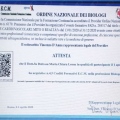 Ingrandire l'immagine: certificate 3
