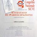Ingrandire l'immagine: certificate 13