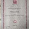 Ingrandire l'immagine: certificate 1