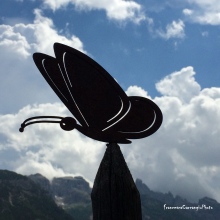 Ingrandire l'immagine: Francesca Carcangiu, psicologo Bologna