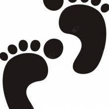 Ingrandire l'immagine: Maria Michela Vatteroni, podologo Pisa