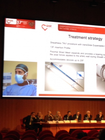 Gaspare Sergio Cannone-2