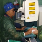 Dott. Gaetano Trainito