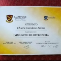 Ingrandire l'immagine: certificate 2