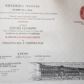 Ingrandire l'immagine: certificate 1
