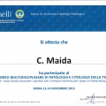 Ingrandire l'immagine: certificate 11