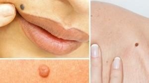 Margherita Fadda Blattner-4