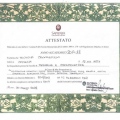 Ingrandire l'immagine: certificate 9