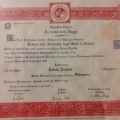 Ingrandire l'immagine: certificate 4