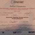 Ingrandire l'immagine: certificate 7