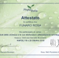 Ingrandire l'immagine: certificate 20