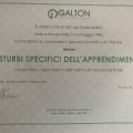 Ingrandire l'immagine: certificate 1