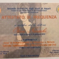 Ingrandire l'immagine: certificate 2