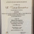 Ingrandire l'immagine: certificate 8