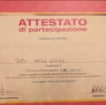 Ingrandire l'immagine: certificate 2