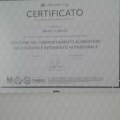 Ingrandire l'immagine: certificate 5