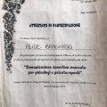 Ingrandire l'immagine: certificate 9