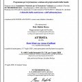 Ingrandire l'immagine: certificate 3