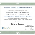 Ingrandire l'immagine: certificate 2
