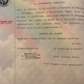 Ingrandire l'immagine: certificate 9