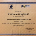 Ingrandire l'immagine: certificate 2