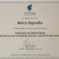 Ingrandire l'immagine: certificate 6