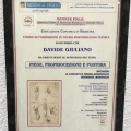 Ingrandire l'immagine: certificate 9