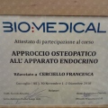 Ingrandire l'immagine: certificate 4