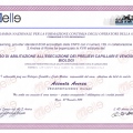 Ingrandire l'immagine: certificate 1