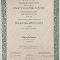 Ingrandire l'immagine: certificate 5