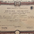 Ingrandire l'immagine: certificate 4