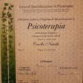 Ingrandire l'immagine: certificate 3