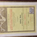 Ingrandire l'immagine: certificate 1