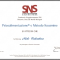 Ingrandire l'immagine: certificate 5