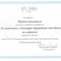 Ingrandire l'immagine: certificate 11