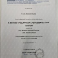 Ingrandire l'immagine: certificate 2