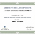 Ingrandire l'immagine: certificate 1