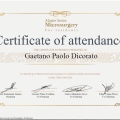 Ingrandire l'immagine: certificate 7
