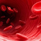 Dr. Antonio Giordano