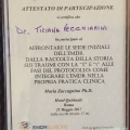 Ingrandire l'immagine: certificate 9