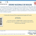 Ingrandire l'immagine: certificate 9