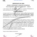 Ingrandire l'immagine: certificate 19