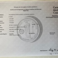 Ingrandire l'immagine: certificate 14