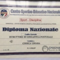 Ingrandire l'immagine: certificate 7