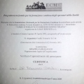 Ingrandire l'immagine: certificate 6