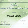 Ingrandire l'immagine: certificate 3