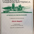 Ingrandire l'immagine: certificate 2