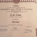 Ingrandire l'immagine: certificate 1